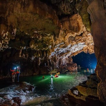 phong nha