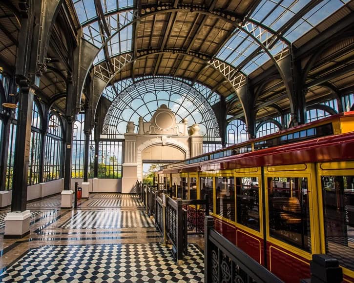 06f4vvu5nfcg1692344605975 Cropped