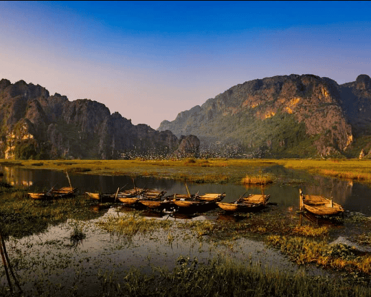 Screenshot 8 Cropped